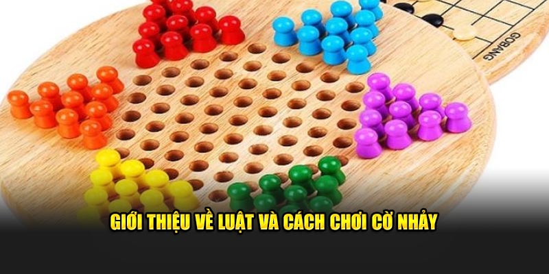 Giới thiệu về luật và cách chơi cờ nhảy